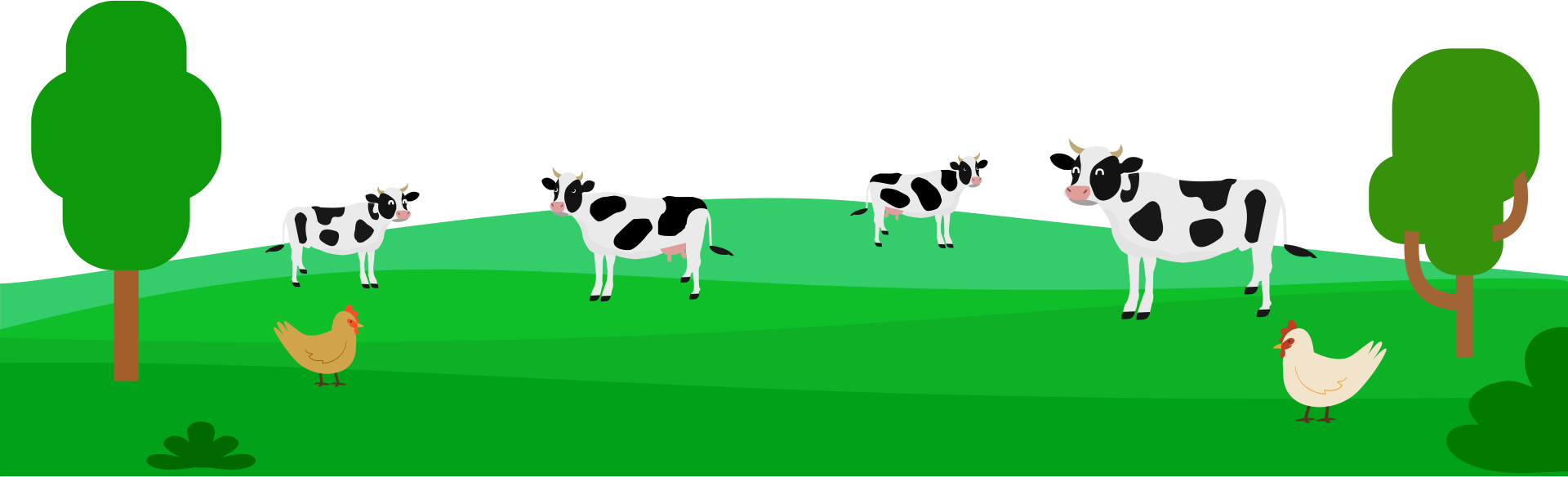 Responsive image